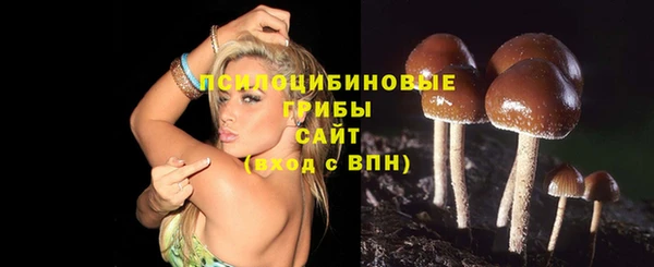 spice Куйбышев