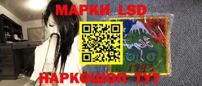 apvp Гатчина