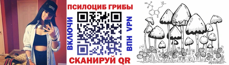 блэк спрут ТОР  Урай  Псилоцибиновые грибы Magic Shrooms 