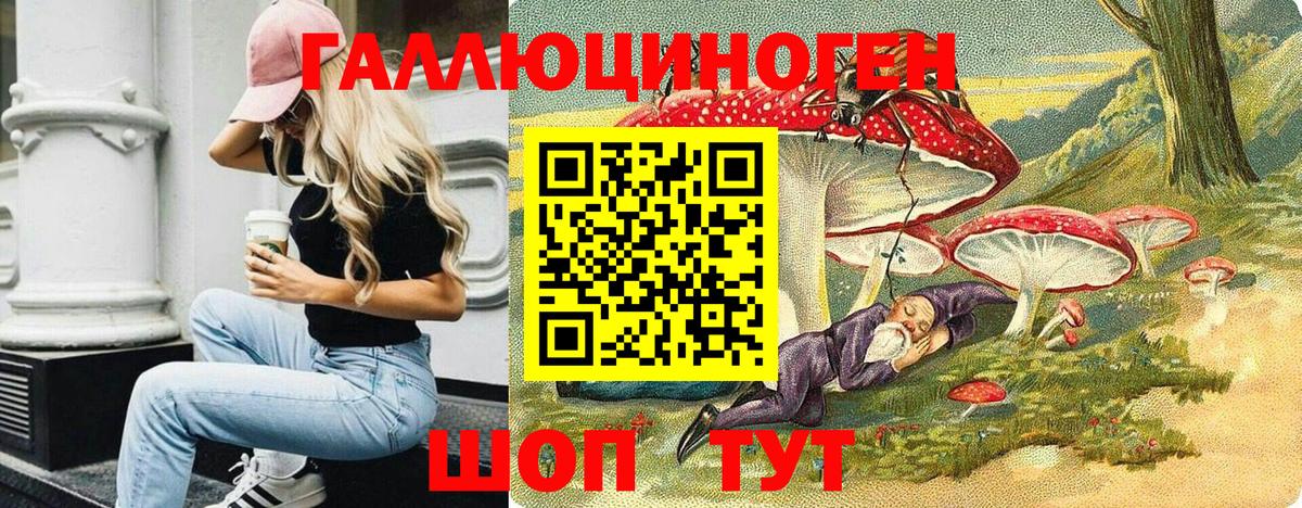 как найти наркотики  Галлюциногенные грибы Psilocybe  Урай  Псилоцибиновые грибы мицелий 